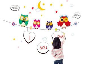 Beyaz PET Beyaz Tahta Yazma Filmi