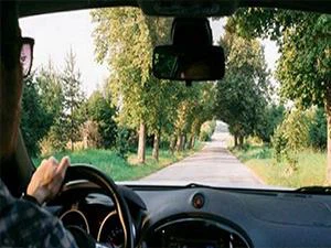 Kat Tutkal Filmi Güneş Filmi Güneş Filmi